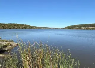 На Тернопільщині суд повернув державі став із землею на 110 га