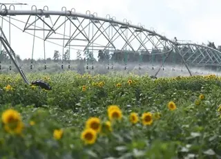 Верховна Рада схвалила зміни для запуску реформи меліорації
