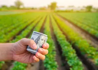 Як правильно оформити купівлю-продаж сільськогосподарської ділянки
