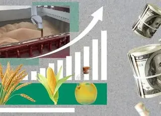 Опубліковано рейтинг найприбутковіших агропродуктів України