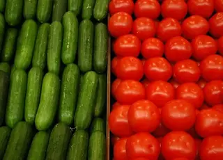 Експорт огірків і томатів з України у 2025 році знизився до рекордного мінімуму
