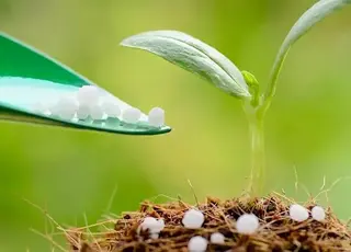 Проблеми з логістикою та обстріли інфраструктури загострили дефіцит добрив в Україні