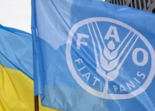 Україну обрано до Ради Продовольчої та сільськогосподарської організації ООН