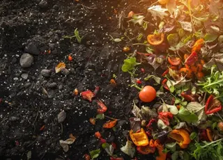 На Харківщині вироблятимуть добрива з відходів