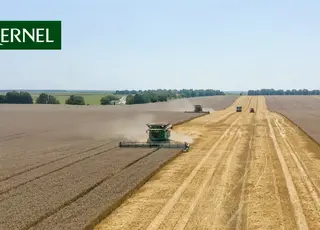 Кернел придбав аграрний холдінг Enselco Holding Limited із земельним банком 190 тис га