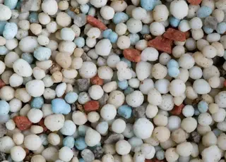 Дефіцит добрив загрожує втратою до 20% врожаю