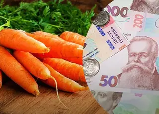 В Україні знизилися ціни на моркву