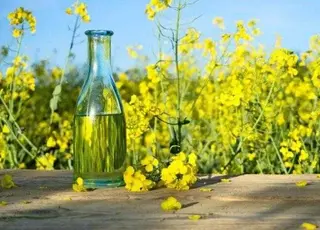 Ріпакова олія подорожчала