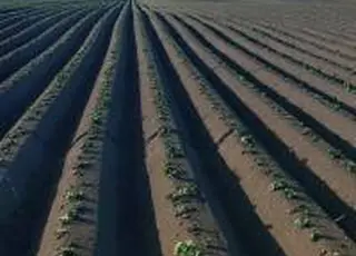 Corteva Agriscience пропонує постраждалим фермерам допомогу з перевірки стану ґрунтів