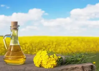 Експорт ріпаку у вересні впав удвічі: зростання поставок олії не компенсує втрат
