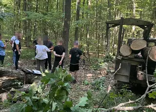 На Тернопільщині шістьох людей судитимуть за незаконне вирубування лісу