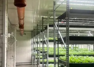 В Україні з’явилась Асоціація вертикального фермерства