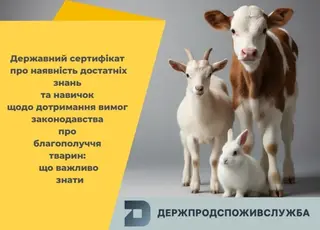 Як отримати держсертифікат про наявність знань і навичок у сфері благополуччя тварин