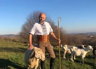 Україна може заробляти до $20 млрд на рік на розвитку вівчарства