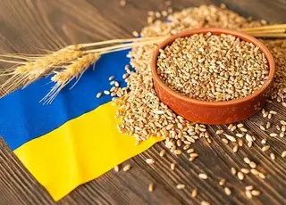 Логістичні проблеми загрожують експорту врожаю 2025 р