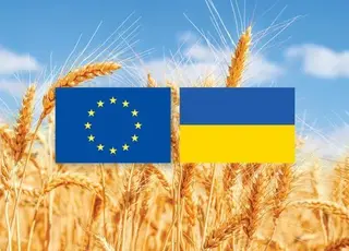 Що потрібно знати виробникам для виходу на європейський ринок 