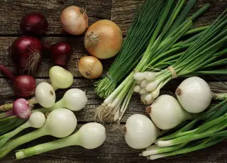 Яку цибулю посадити на городі навесні: добірка кращих видів і сортів