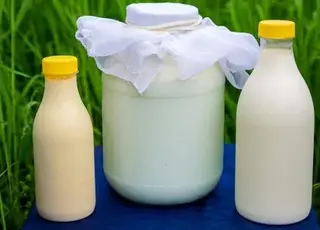 Україна скоротила експорт молочної продукції до ЄС через зміни торгових умов