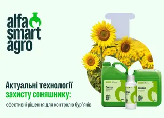 Актуальні технології захисту соняшнику: ефективні рішення для контролю бур’янів