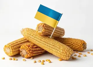 Експорт кукурудзи з України у жовтні впав до мінімального рівня через затримки збору