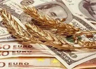 Банки блокують першу валютну виручку фермерів-експортерів: як уникнути затримки надходження коштів