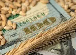 Як змінилися ціни на зернові та олійні