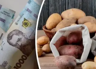Врожай картоплі скоротився на 25-30% через погодні ризики: ціновий прогноз