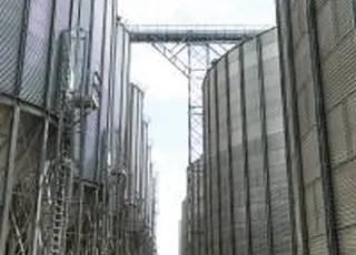 «Агропросперіс» впроваджує штучний інтелект у лабораторіях елеваторів