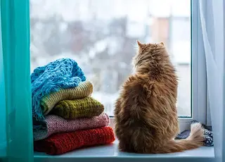 Cиноптик попередила про затяжні морози в Україні