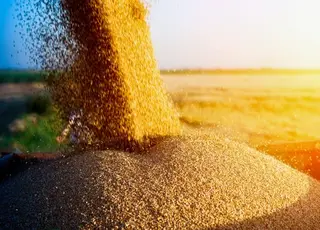 Україна до кінця травня експортує всі залишки зерна