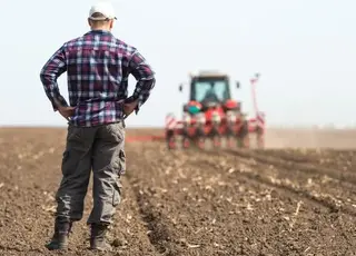 Перші фермери України досі не можуть оформити землю, яку обробляють із 1990-х