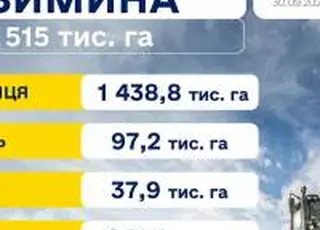 Українські аграрії засіяли понад 2,5 млн га озимини