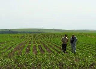 Продаж сільгоспземлі: що загрожує власнику за порушення прав орендаря