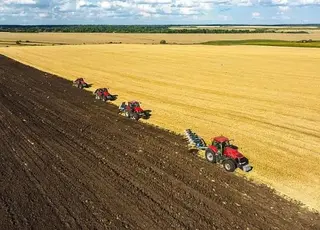 ТАС Агро планує розширити земельний банк до 100 тисяч гектарів