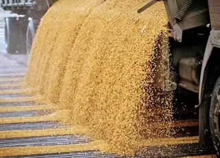 Фермери Миколаївщини перевозитимуть агропродукцію вночі