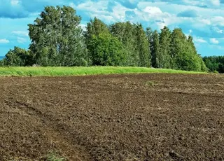 Стало відомо, коли держава може законно забрати землю у власника