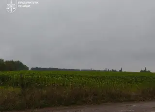 На землях зони відселення вирощували врожай і продавали його на мільйони