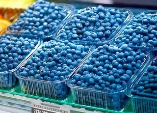 Аналіз цін на лохину в Україні у 2025 році: тенденції та порівняння з минулими сезонами
