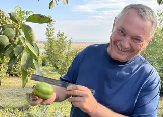На Одещині селекціонер створює нові сорти горіхів, що вражають міжнародну спільноту