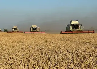 Аграрії Хмельниччини зібрали близько 5 млн т зернових