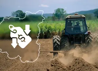 Близько 5 млн гектарів сільгоспземель Україна втратила через окупацію