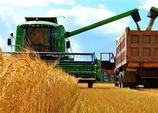 У Гідрометцентрі пояснили, що чекає на врожай цього літа