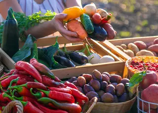 Названо ТОП-8 світових експортерів свіжих овочів та фруктів