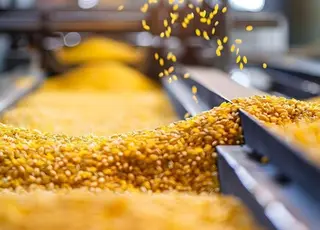 Виробники переробної промисловості отримають до 16 млн грн на відновлення