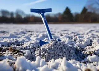 Аграрії розповіли, які добрива краще розсипати по снігу