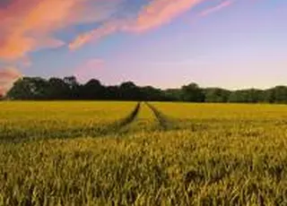 Україна робить практичний крок до “зеленої” Європи: екологічні реформи 2025 року