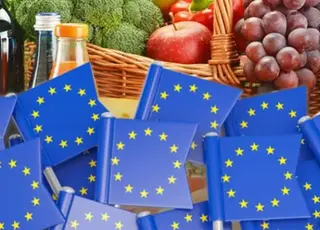 Рада ЄС ухвалила оновлену торговельну угоду з Україною: знижено мита на аграрну продукцію
