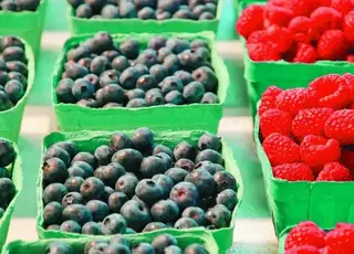 Стало відомо, чому ягідний бізнес опинився під загрозою у 2026 р