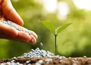 Світові ціни на добрива можуть зрости на 20% у першій половині 2026 року