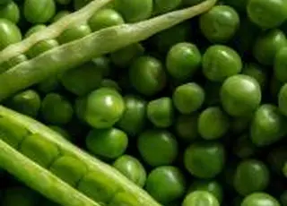 AgriAcademy та Астарта запустили новий професійний онлайн-курс з вирощування гороха